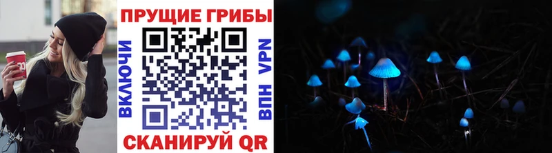 Псилоцибиновые грибы Psilocybine cubensis  закладки  Омск 
